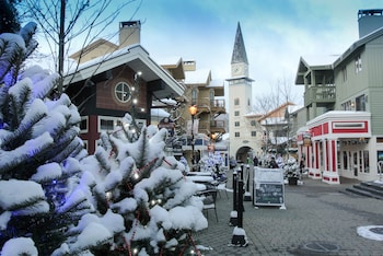 vantage point villas at stratton mountain resort