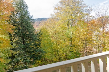 vantage point villas at stratton mountain resort