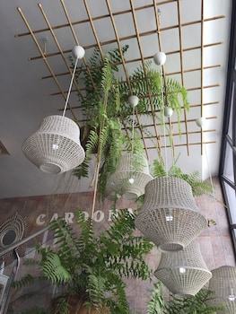 hostal residencia cardona