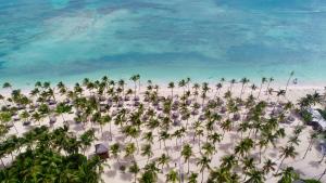 catalonia punta cana all inclusive