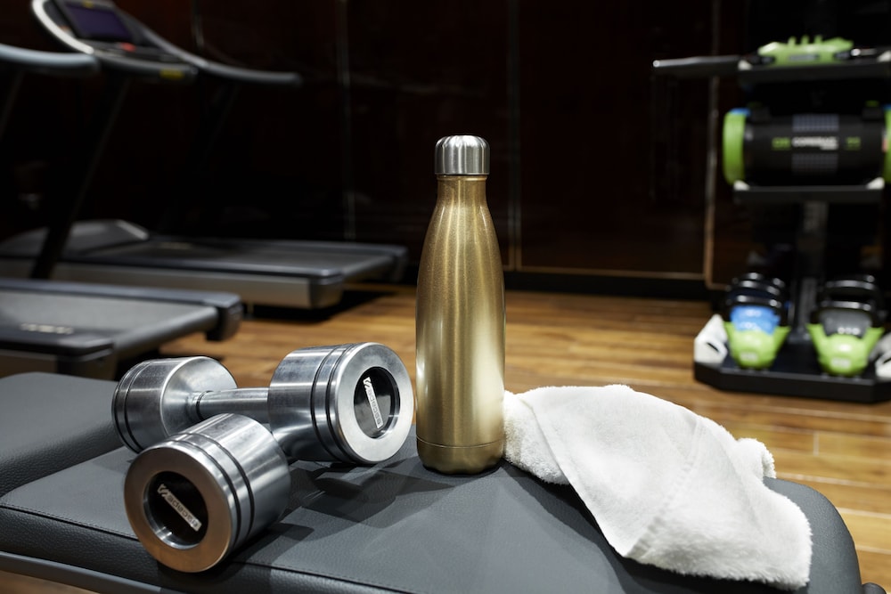 hyatt regency london albert embankment