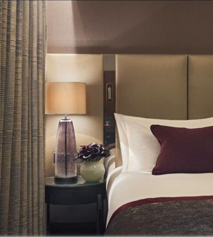hyatt regency london albert embankment