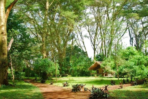 migunga tented camp
