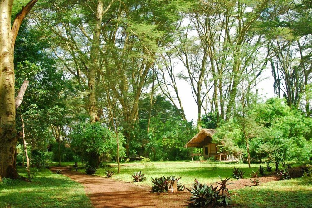 migunga tented camp