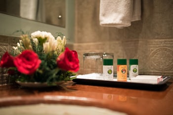 howard plaza the fern agra