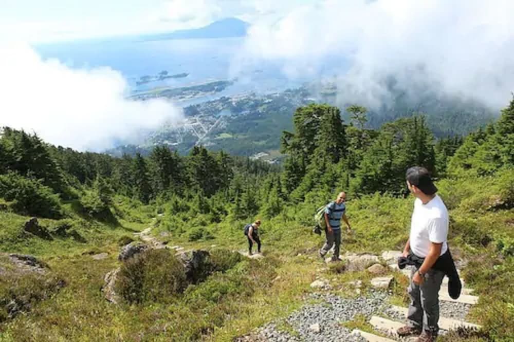 sitka