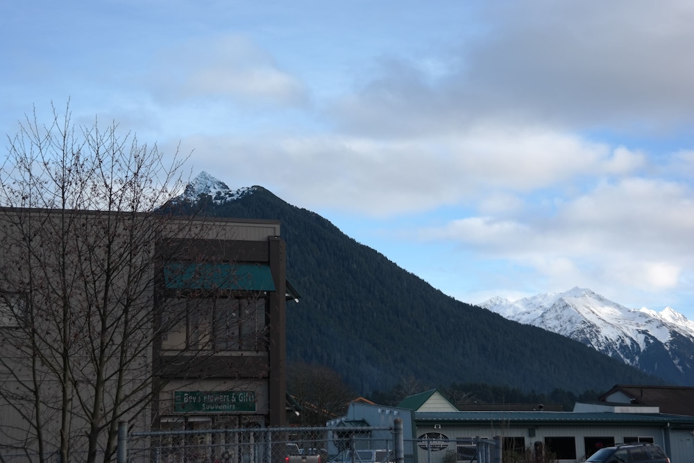 sitka