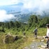 sitka