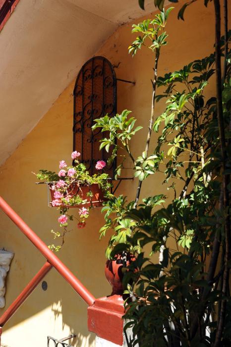 boutique hotel antinea