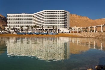 vert dead sea