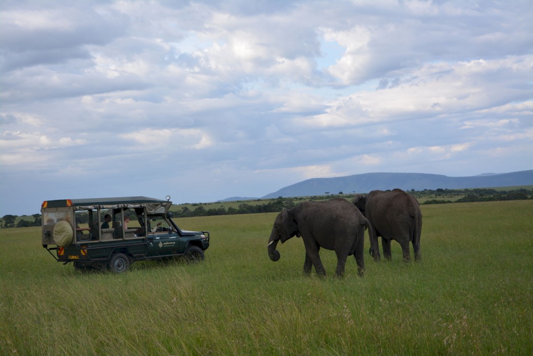 maasai mara