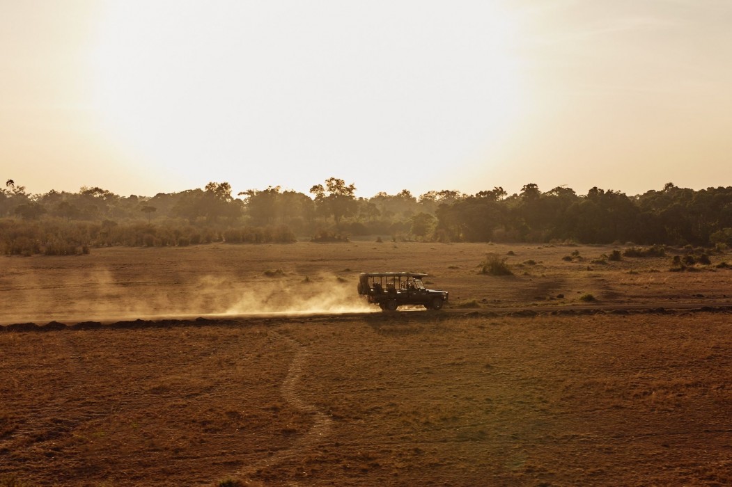maasai mara