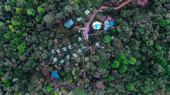 chachagua rainforest hotel and hot springs