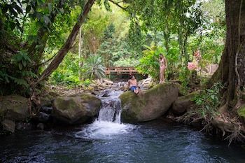 chachagua rainforest hotel and hot springs