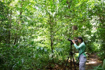 chachagua rainforest hotel and hot springs