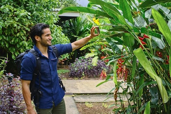 chachagua rainforest hotel and hot springs