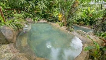 chachagua rainforest hotel and hot springs