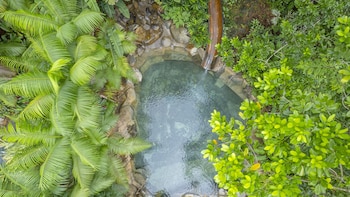 chachagua rainforest hotel and hot springs