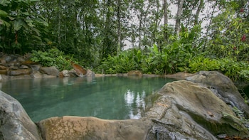 chachagua rainforest hotel and hot springs