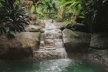 chachagua rainforest hotel and hot springs