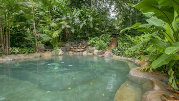 chachagua rainforest hotel and hot springs