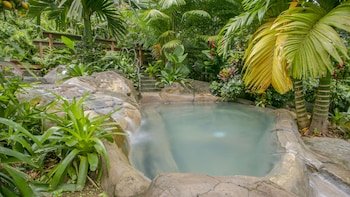 chachagua rainforest hotel and hot springs
