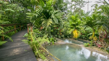 chachagua rainforest hotel and hot springs
