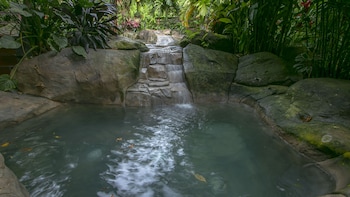 chachagua rainforest hotel and hot springs