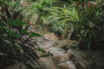 chachagua rainforest hotel and hot springs