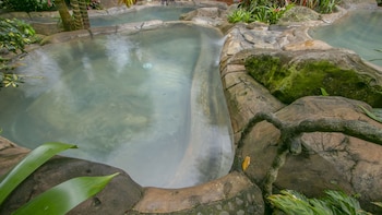 chachagua rainforest hotel and hot springs
