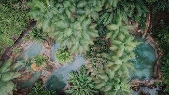 chachagua rainforest hotel and hot springs