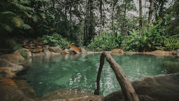 chachagua rainforest hotel and hot springs