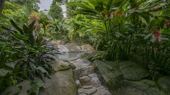 chachagua rainforest hotel and hot springs