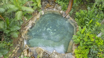 chachagua rainforest hotel and hot springs