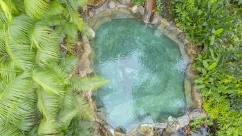 chachagua rainforest hotel and hot springs