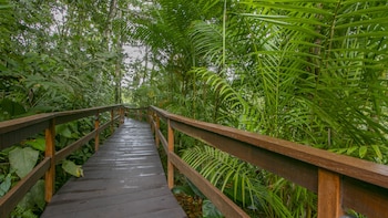 chachagua rainforest hotel and hot springs