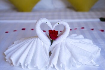 lavila hoi an homestay