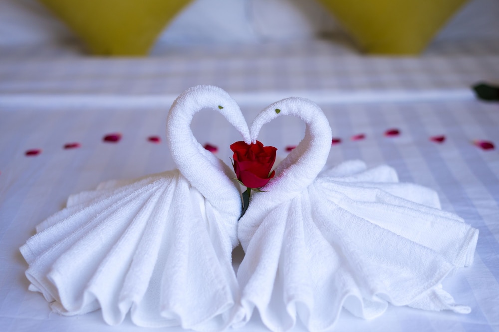 lavila hoi an homestay