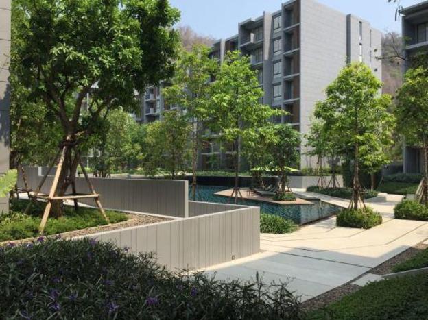 pak chong