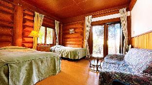 hakuba pension meteor