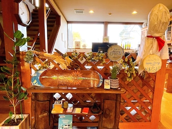 hakuba pension meteor