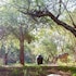 shikwari nature reserve