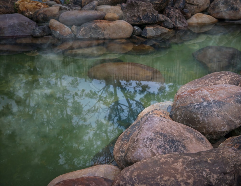 alba wellness resort by fusion