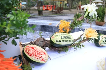 alba wellness resort by fusion