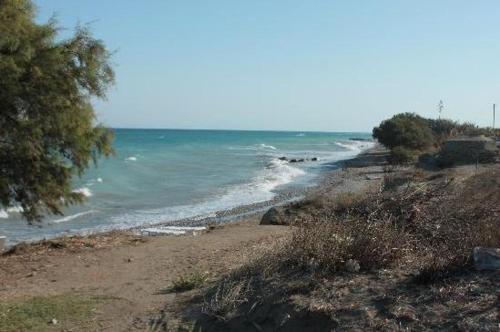 asterias bay theologos