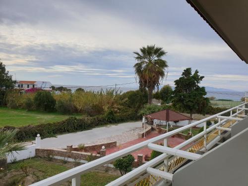 asterias bay theologos