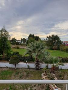 asterias bay theologos