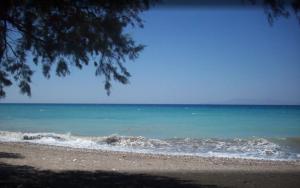 asterias bay theologos