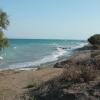 asterias bay theologos