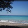 asterias bay theologos